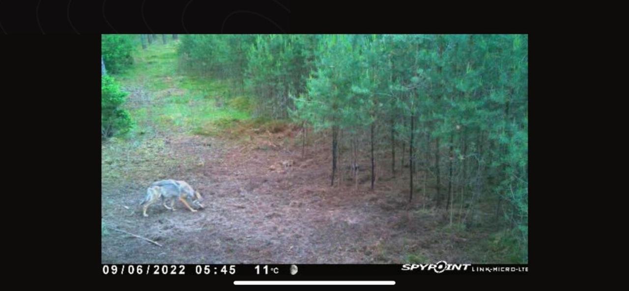 Jagd-Angler-Suite-04-Im-Wald-Am-See 屈里茨 外观 照片